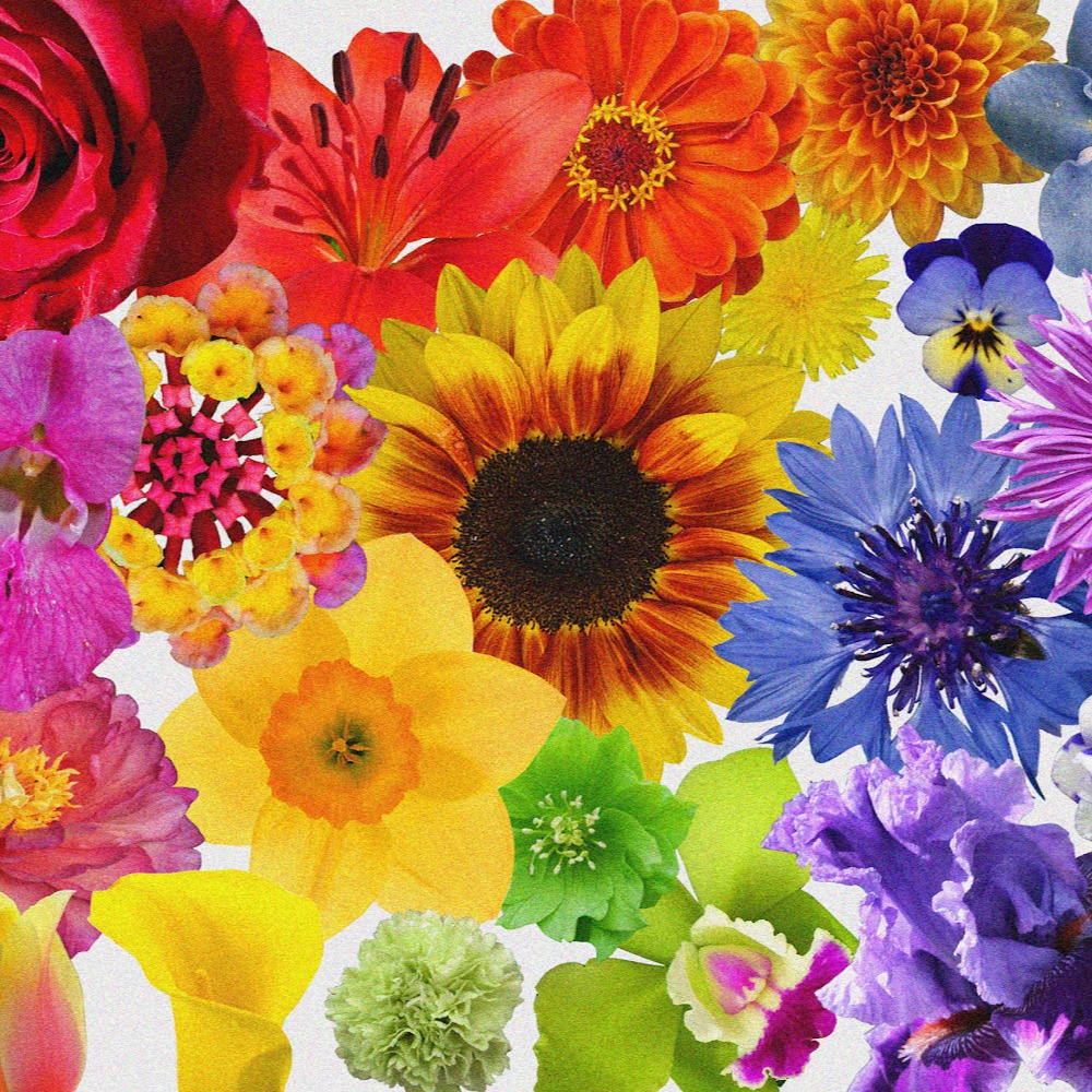 Meet your Posher, V!